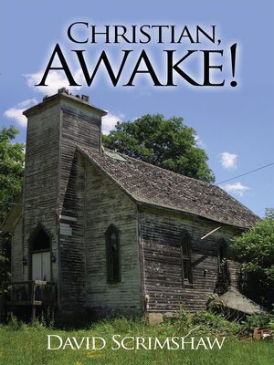 cover image of Christian, Awake!